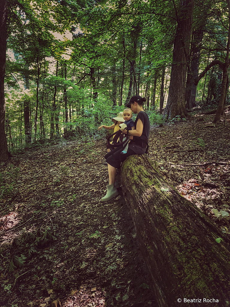 Family Hike