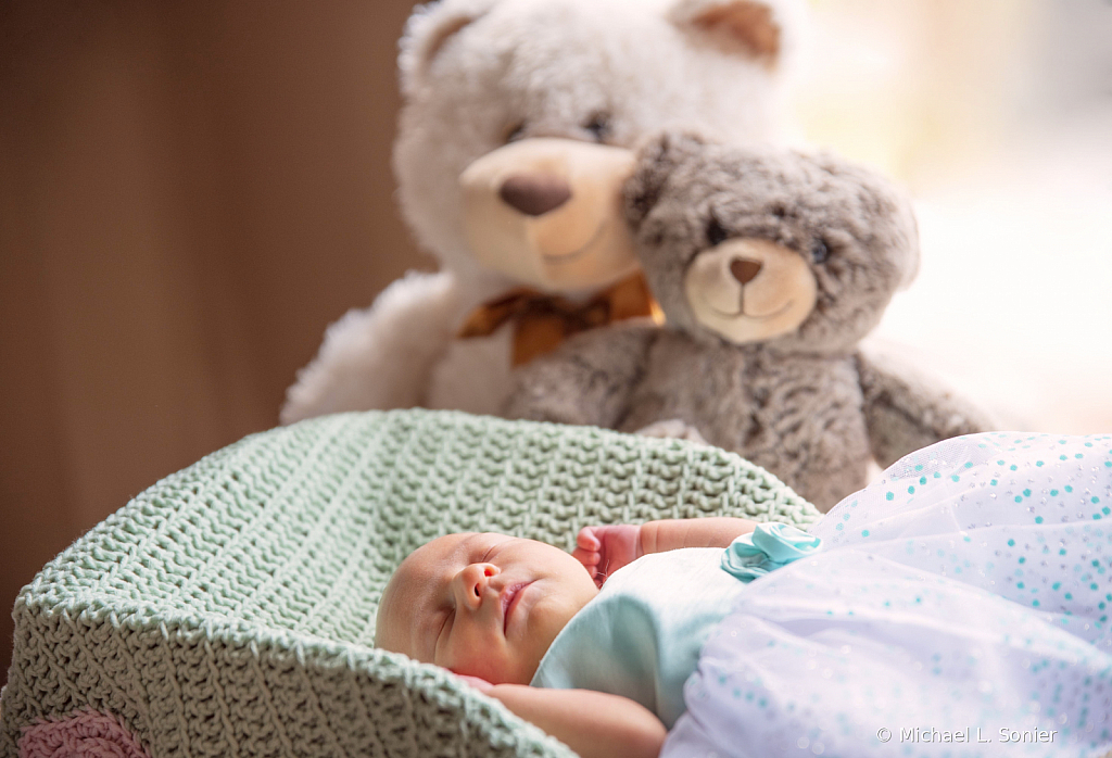 baby with bears