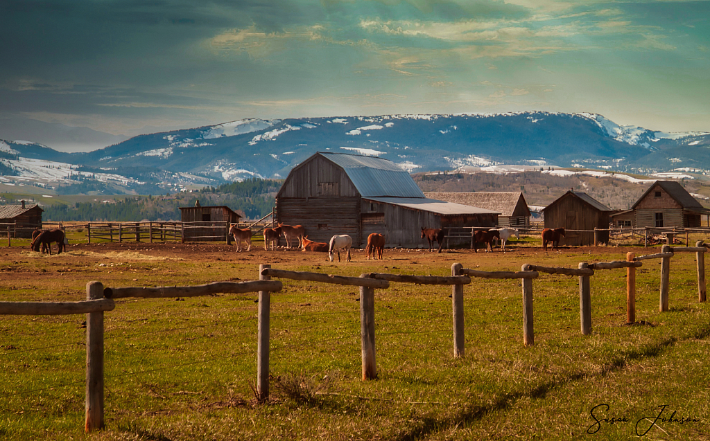 Ranch in the Valley