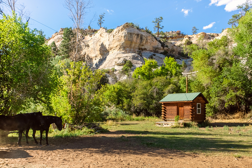 A one room wilderness cabin 