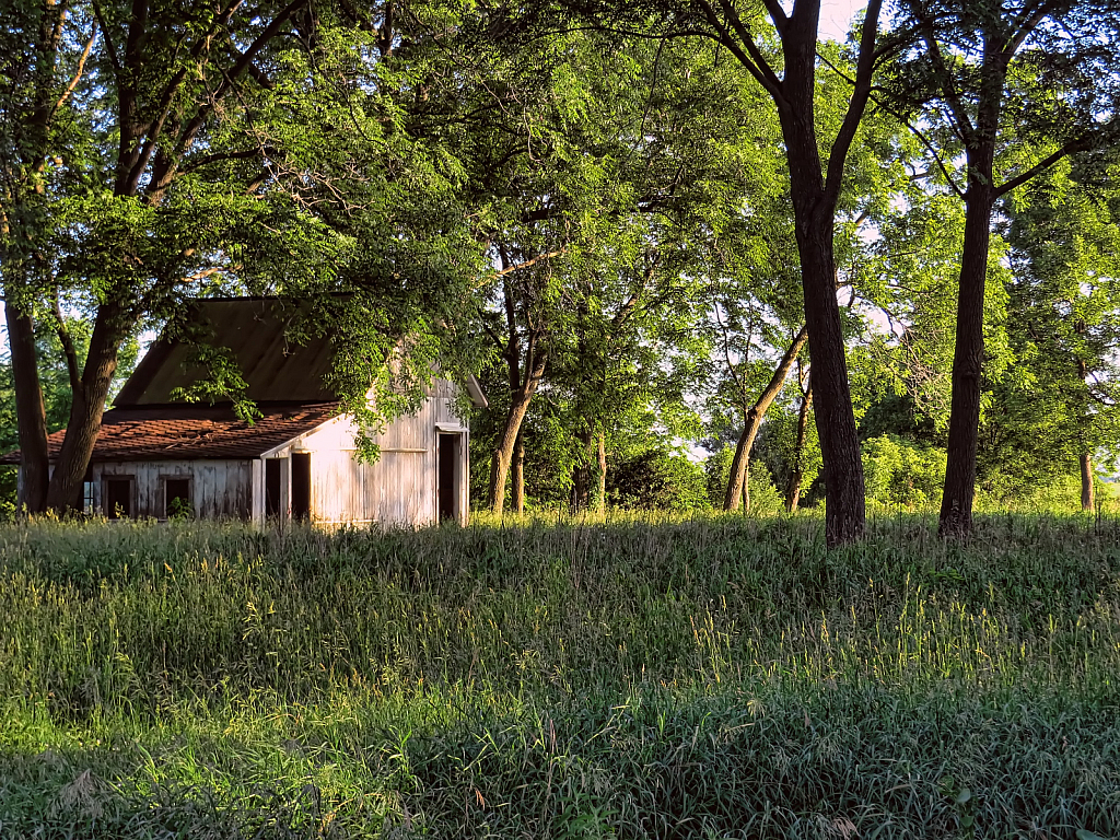 Hidden In The Grass 