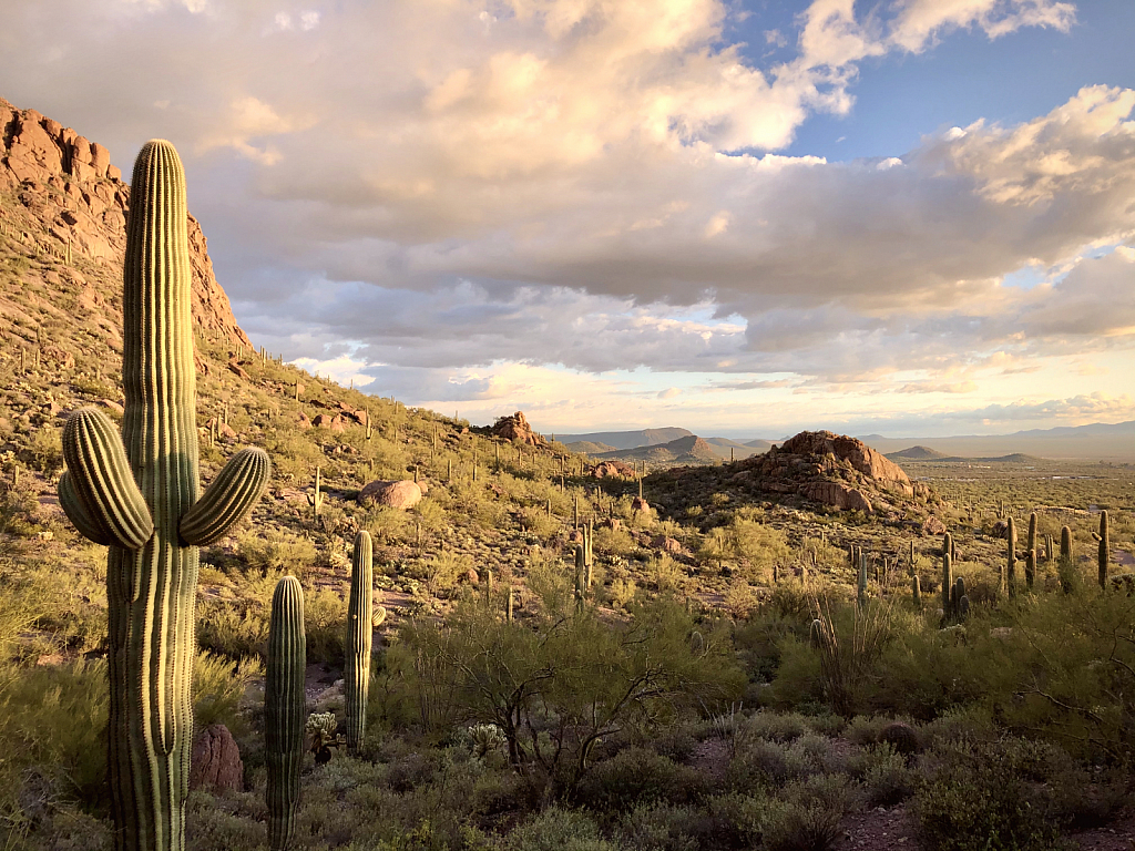 Tucson