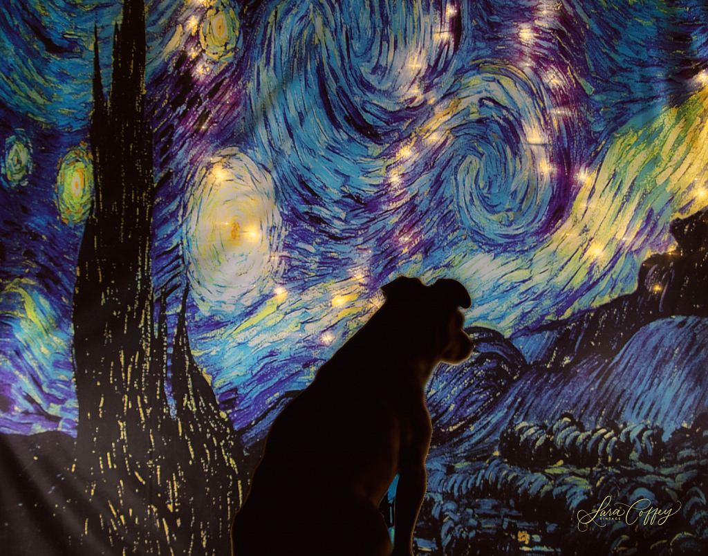 Starry Night