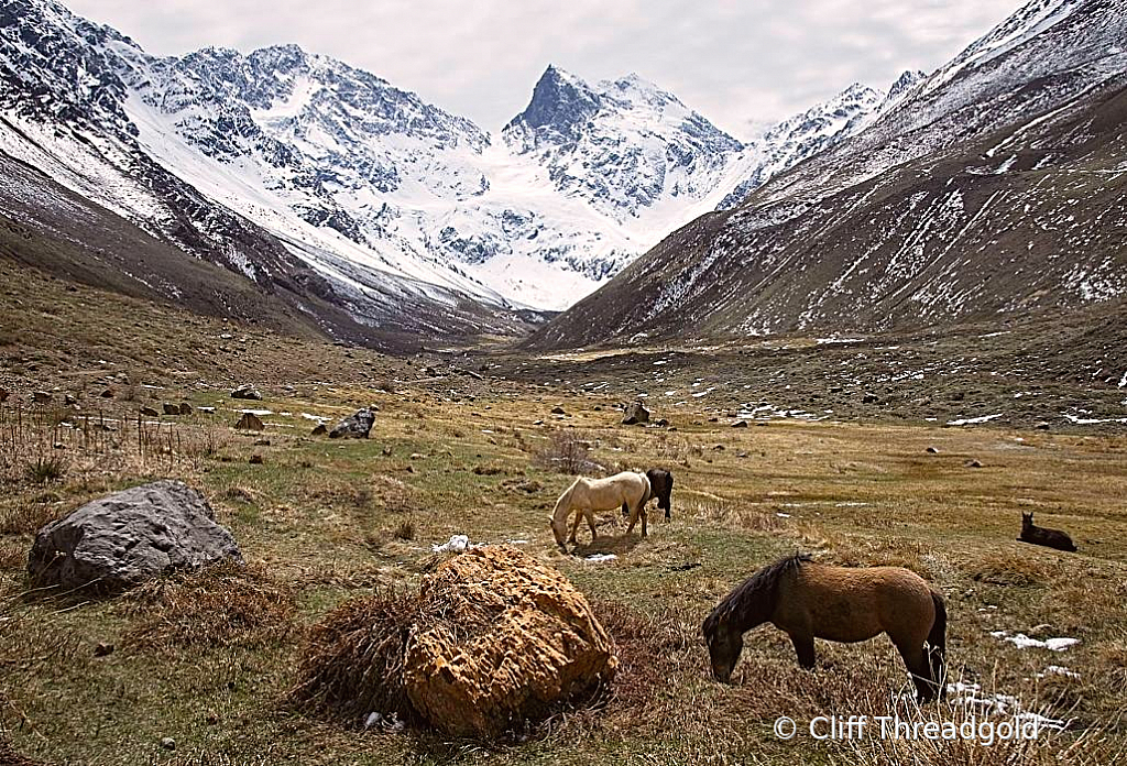 Grazing under the mountains