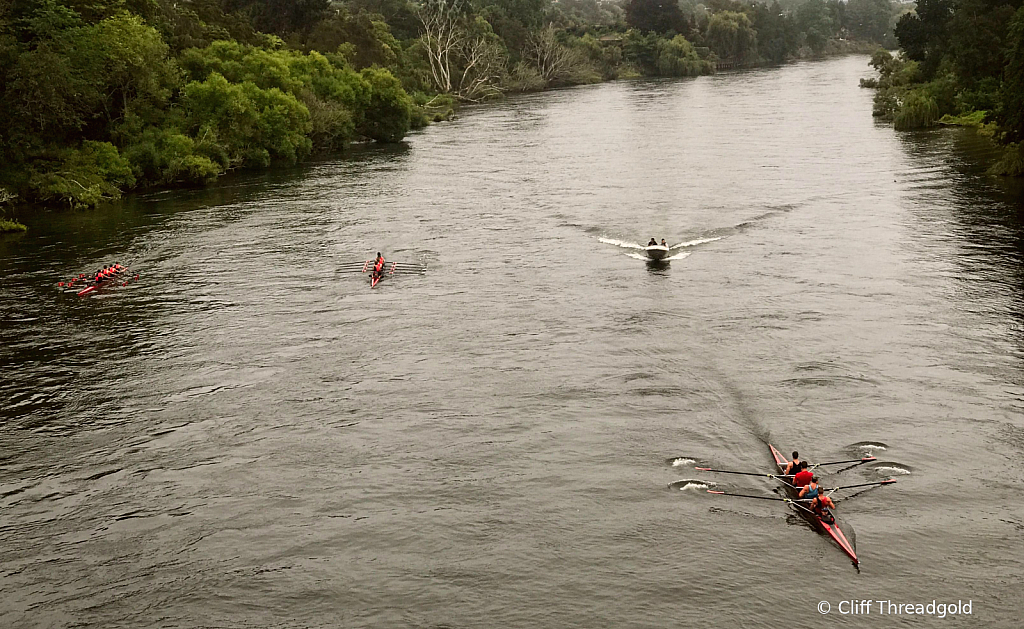 Rowing on the Waikato