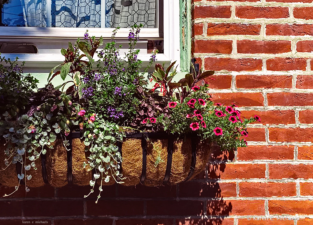 flower box frenzy - ID: 15829657 © Karen E. Michaels