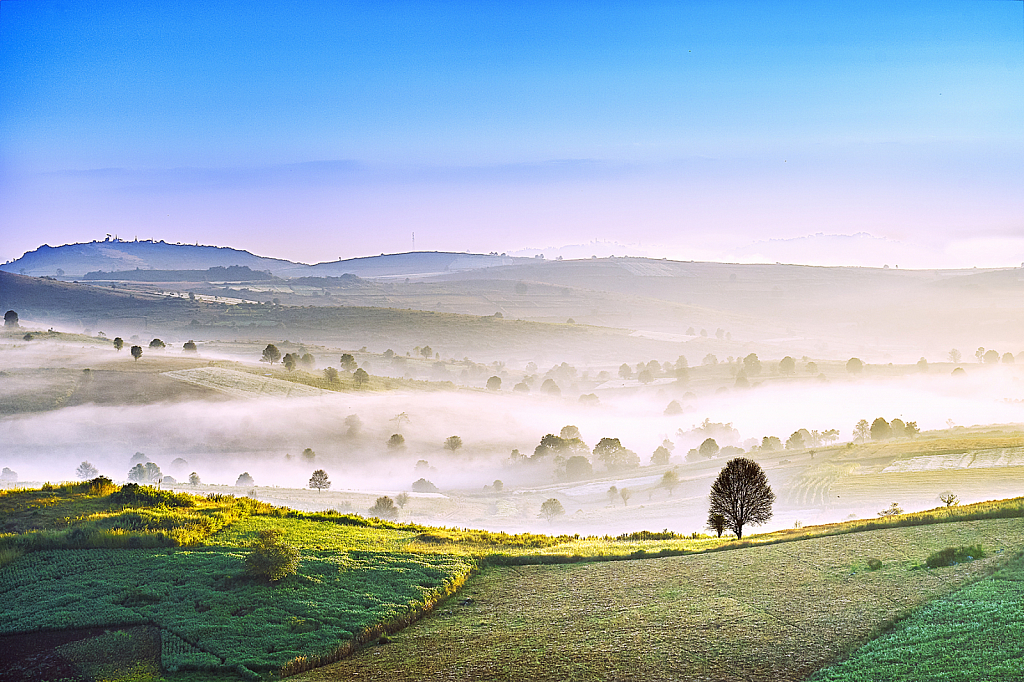 Winter morning