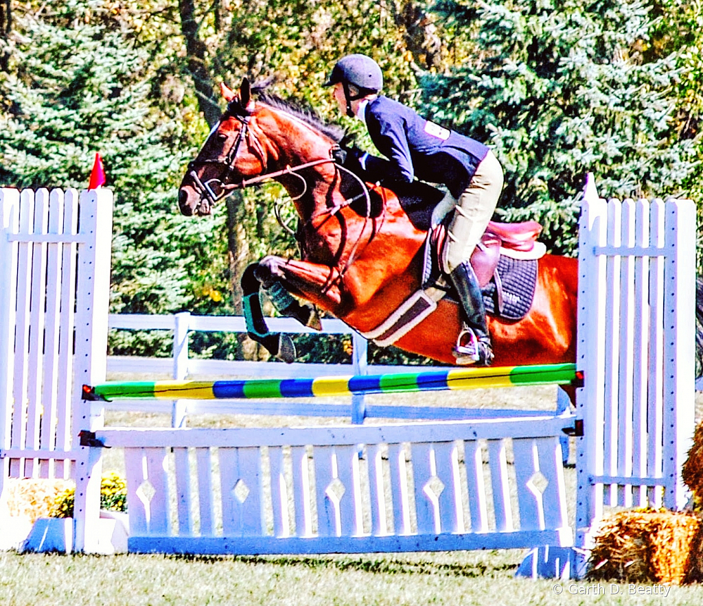 Jumping Horse  University of Findlay Demo
