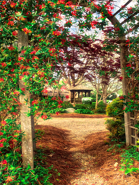 Entrance to Fisher Park w/vine