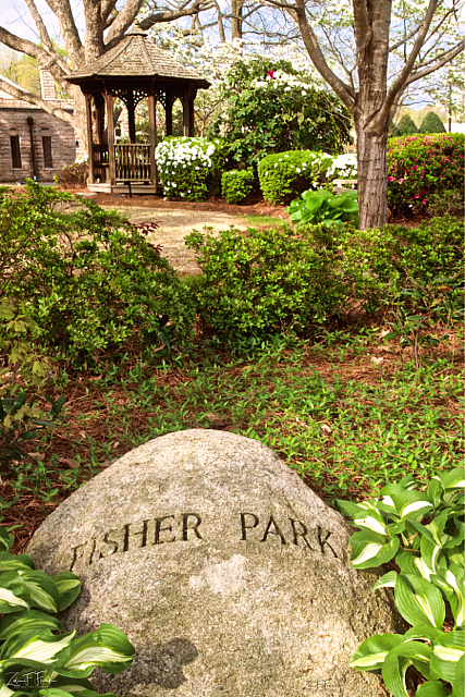 Fisher Park with Rock
