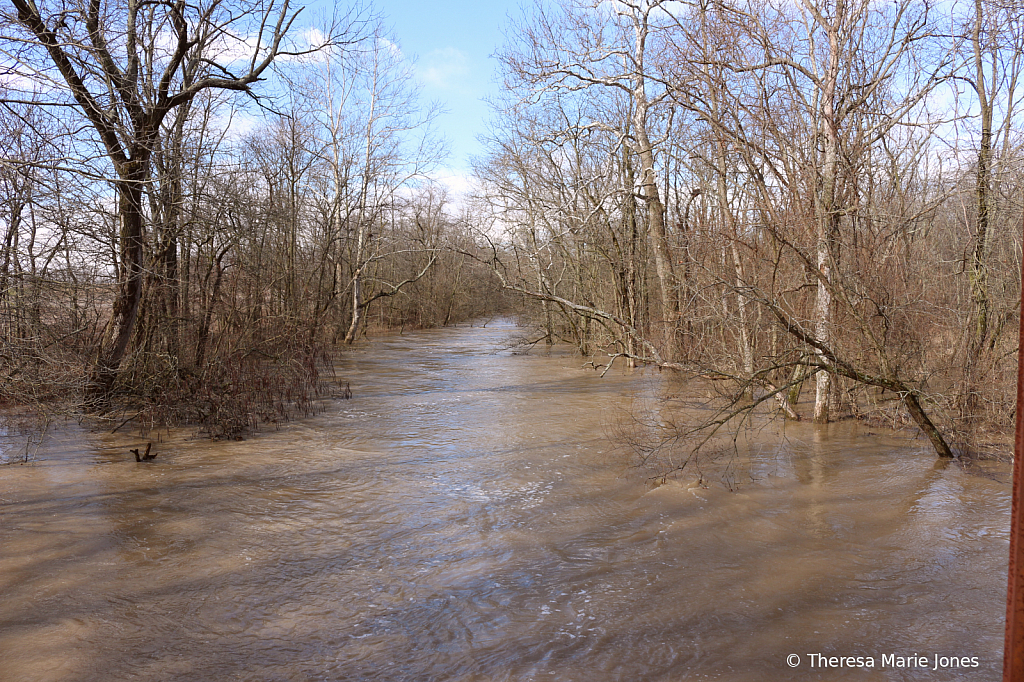 Flooded Creek