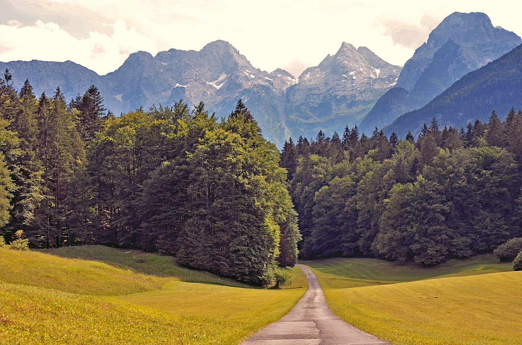 Forest Road 