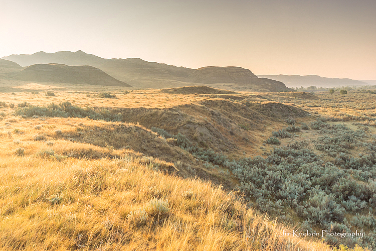 Milk River Natural Area Morning Fog - ID: 15830168 © Jim D. Knelson