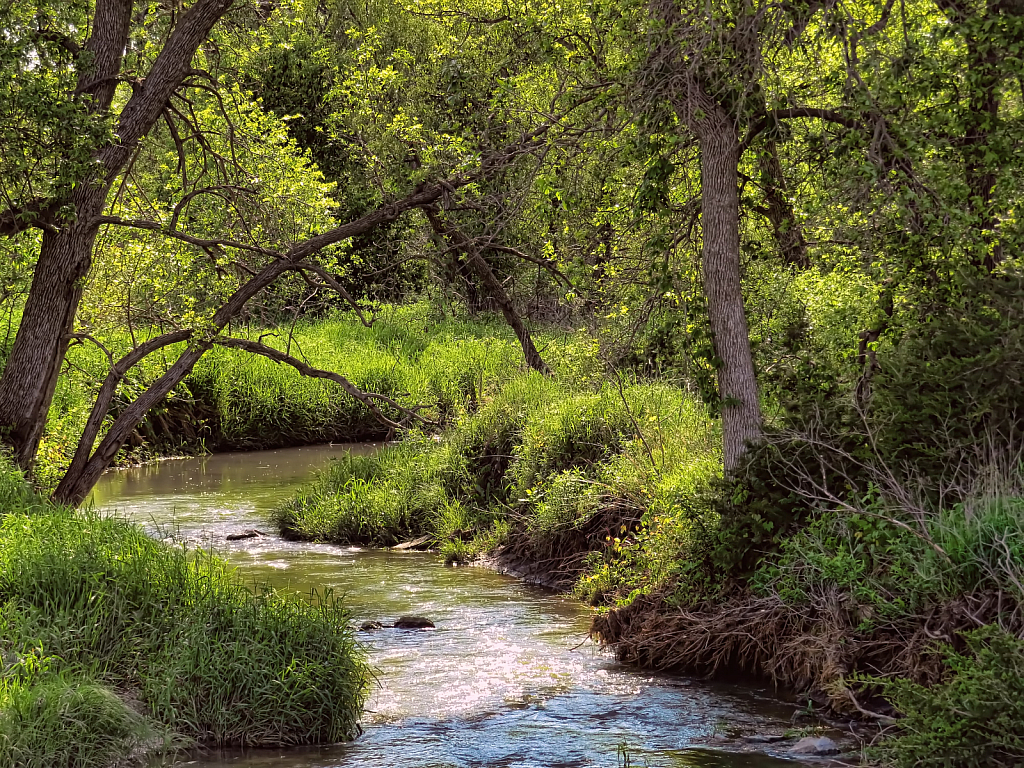 Sunlit Creek