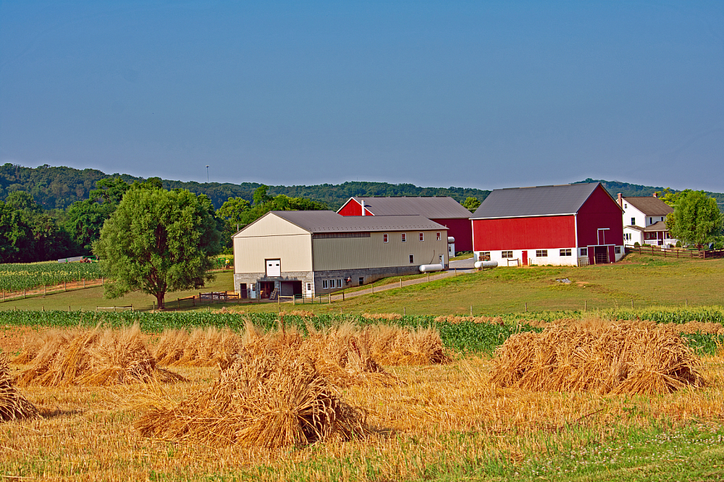 On the Amish Farm