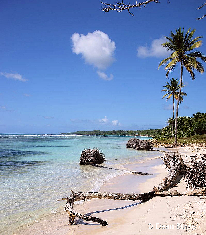 Forgotten Beach