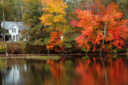 Chocorua Lake