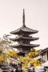 yasaka pagoda 2