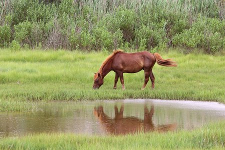 Reflecting