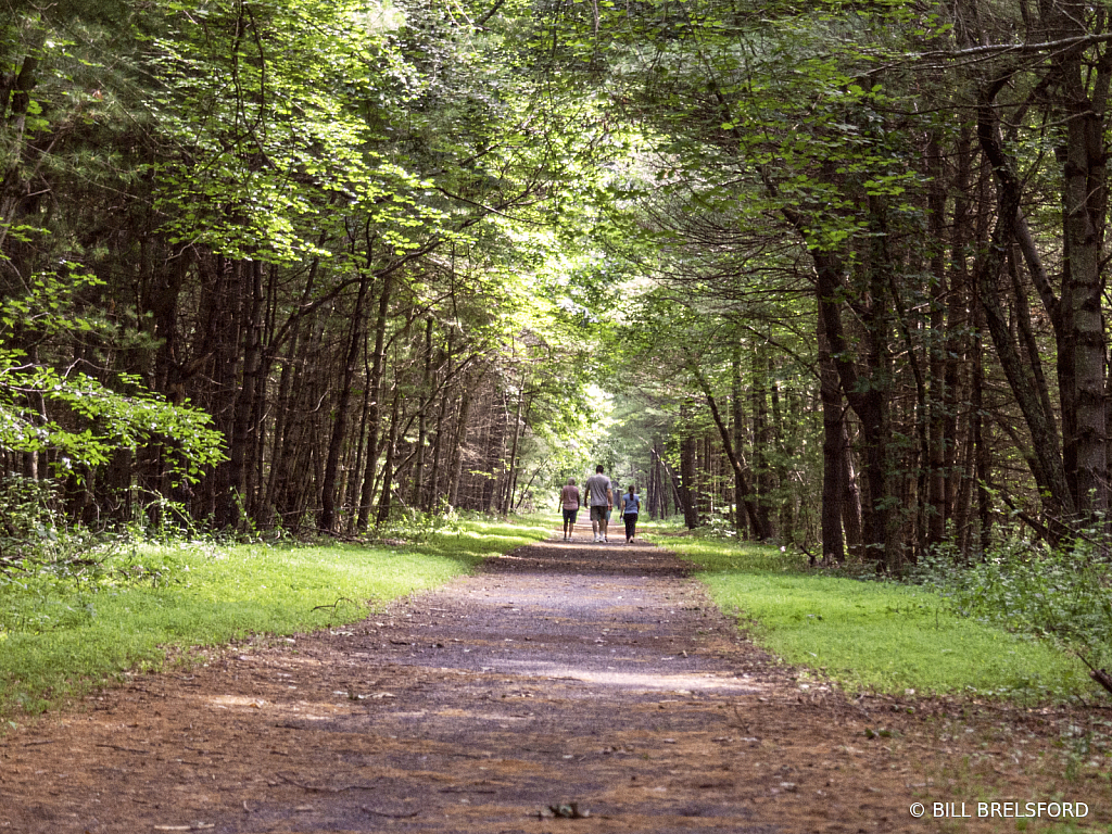 A Family Walk