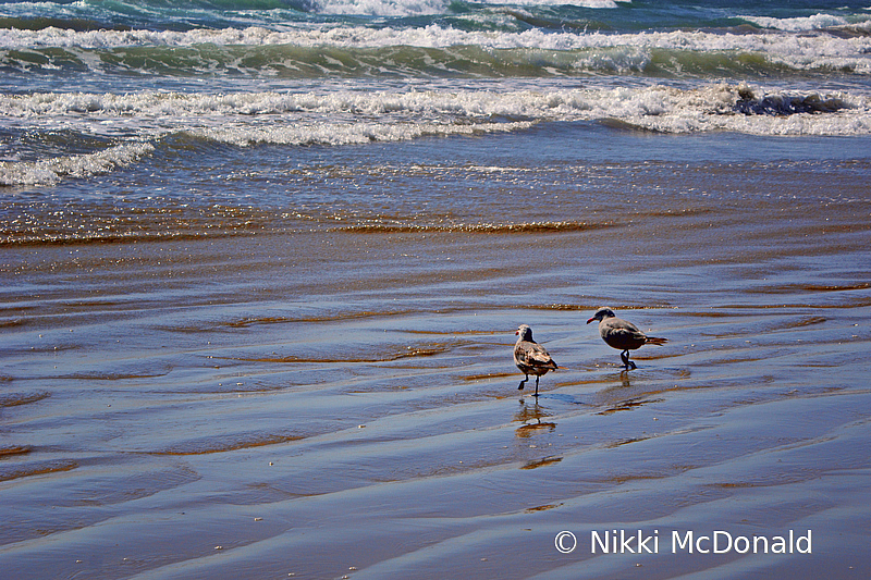 On the Shore