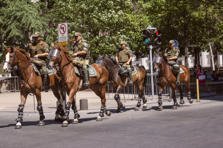 Mounted Police  