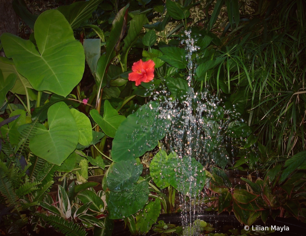 NadaRedFlower