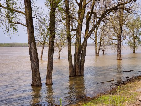 Flooded Mississippi