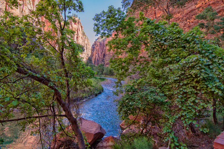 The Narrows of Zion - River View