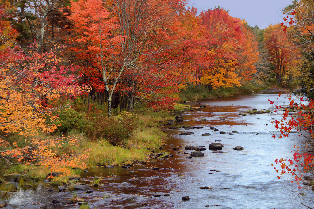 Sheepscot River Reflections