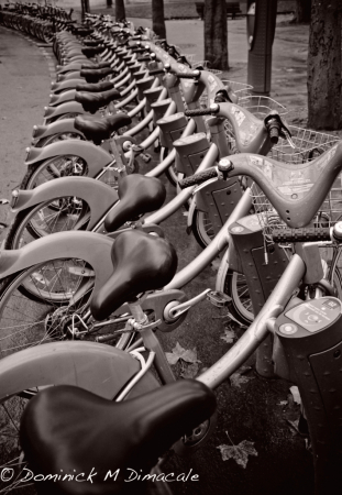 ~ ~ PARKED BICYCLES ~ ~