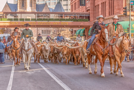 Leading the Parade 