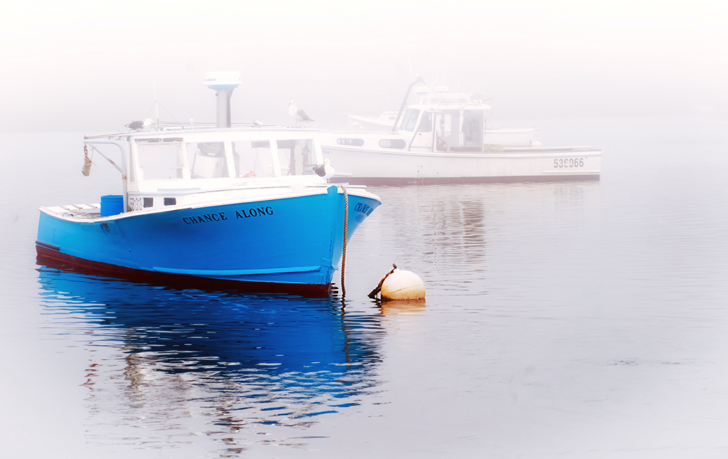 Chance Along. Cohasset Harbor