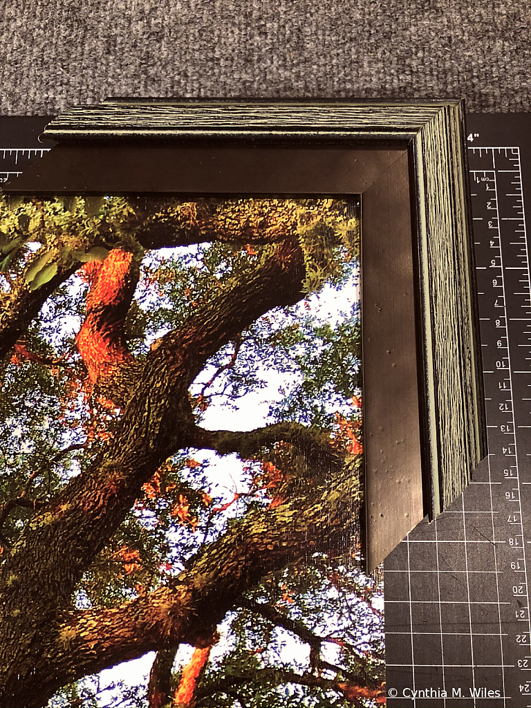 Framing A Tree