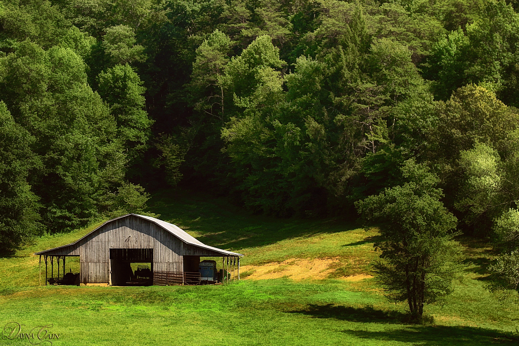 Peaceful Summer Evening