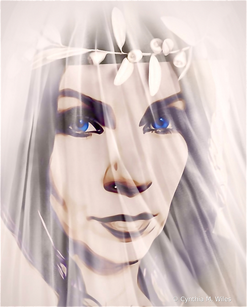 Blue Eyed Bride - ID: 15831290 © Cynthia M. Wiles