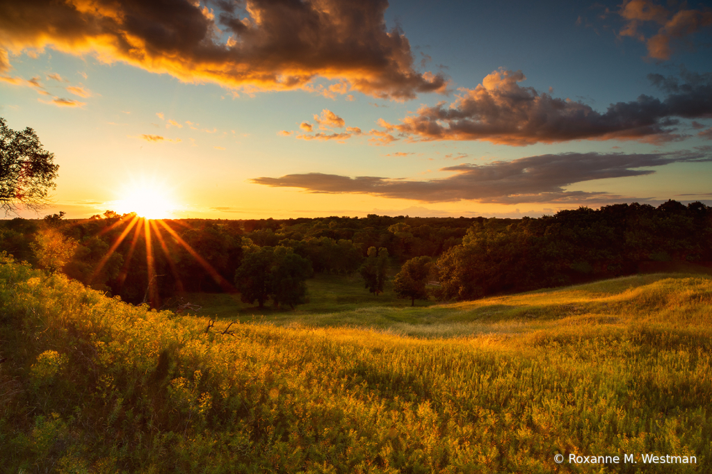 Golden North Dakota sunset - ID: 15831297 © Roxanne M. Westman