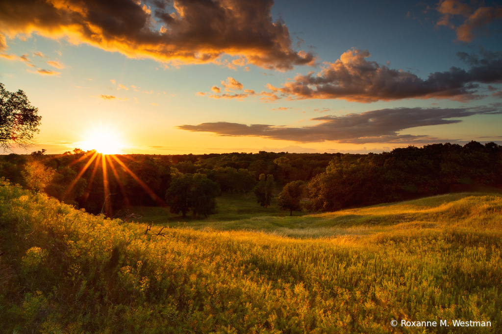 Golden North Dakota sunset