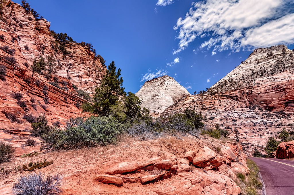 Escape to Zion National Park