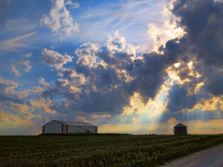 Rays On The Farm