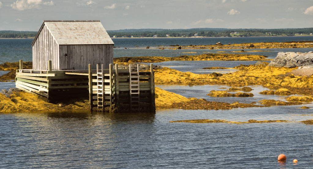 Low Tide