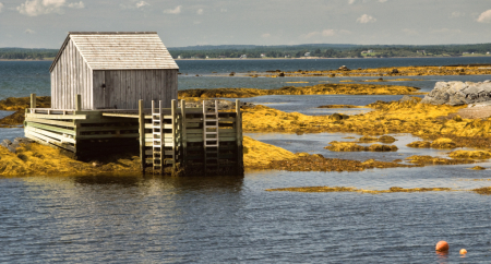 Low Tide