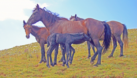 Mother, Baby and friends!