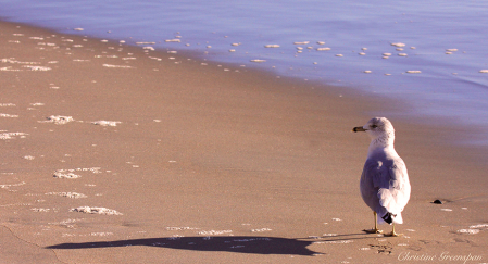 Walking The Beach