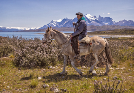 Gaucho's Ride  