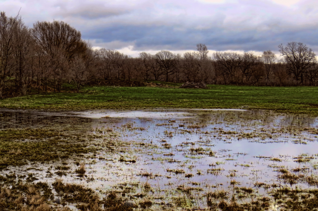 Flooded Fields