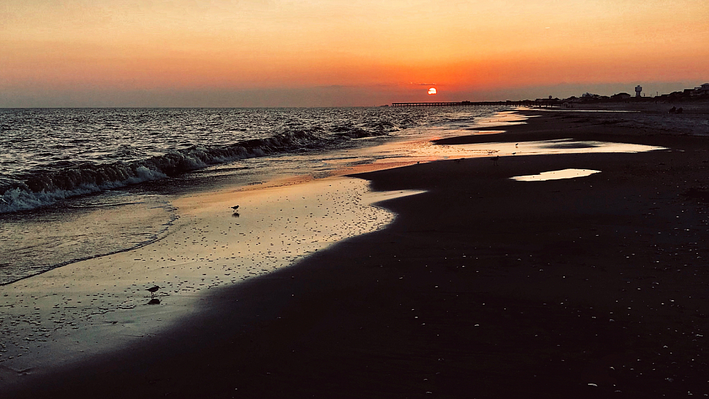 Sunset, Shells, and Sandpipers