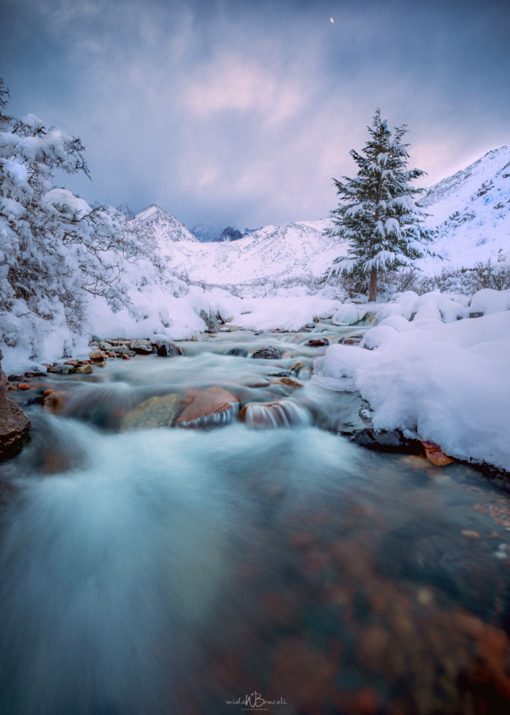 July 2020 Photo Contest Grand Prize Winner - Colored water