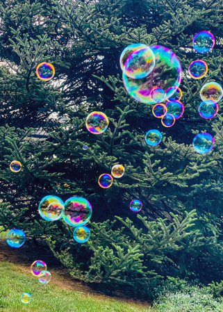 Bubbles in our Yard