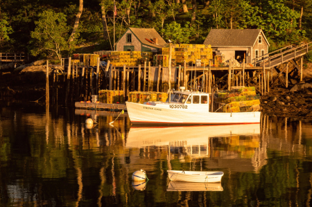 An Evening at the Harbor